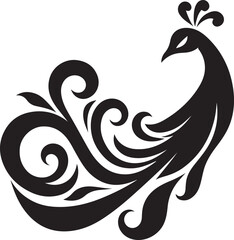 Peacock feather illustration