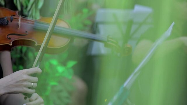 Violin concert. Musician playing cello outdoors. Cellist play music for the wedding. Wedding music concert