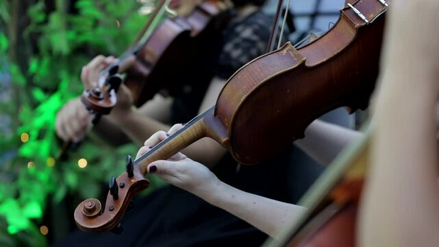 Violin concert. Musician playing cello outdoors. Cellist play music for the wedding. Wedding music concert