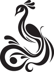 Peacock feather illustration