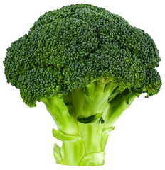 Broccoli isolated on a transparent background. Completely in focus.