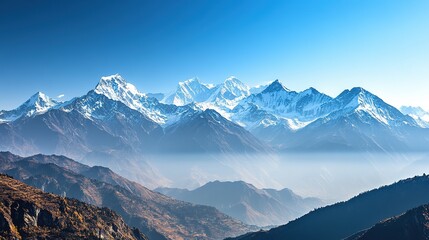 freshly picked organic fruits arranged in a rustic wooden crate, showing their vibrant colors and natural textures