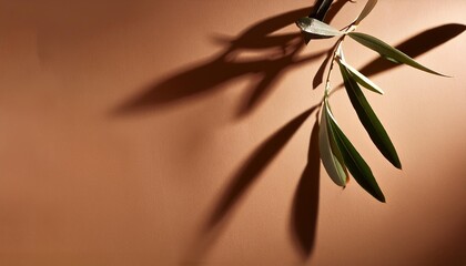 olive tree leaves shadows on the brown background