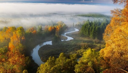 misty forest in autumn beautiful nature scenery green trees and meandering rivers the scene of beautiful forest in the fall foggy magical natural environment