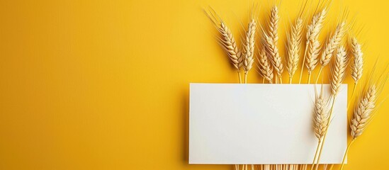 A decorative golden backdrop adorned with a group of wheat stalks and a blank white mockup Embracing agricultural themes in a minimalist presentation perfect for adding text. Creative banner