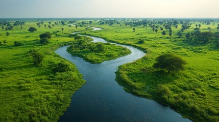 A serene river meanders through vibrant greenery, showcasing the beauty of a protected natural reserve.
