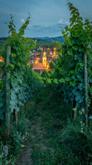 A beautiful night alsacian architecture pic taken in Riquewihr in France on August 20th 2024