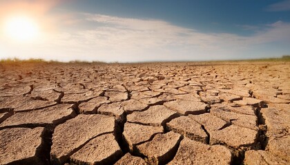 generic image of drought effect on land