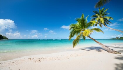 perfect tropical beach landscape vacation holidays background