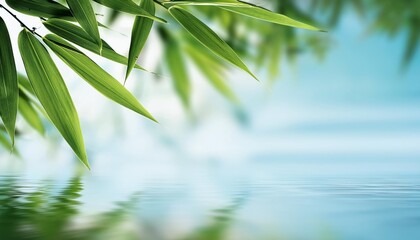 Obraz premium green bamboo leaves over water with empty space background ai generated image