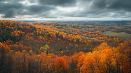 Obraz premium A view of rolling hills covered in autumn colors, under a soft, cloudy sky.