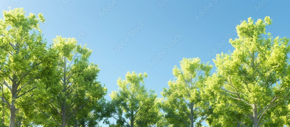 Poster scenic view of trees against a clear blue sky with copy space image