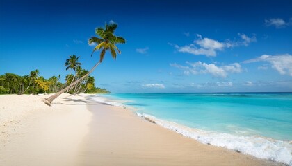 caribbean beach in dominican republic