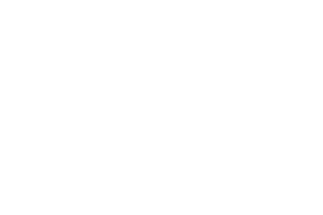 PNG Elegant winter foliage background