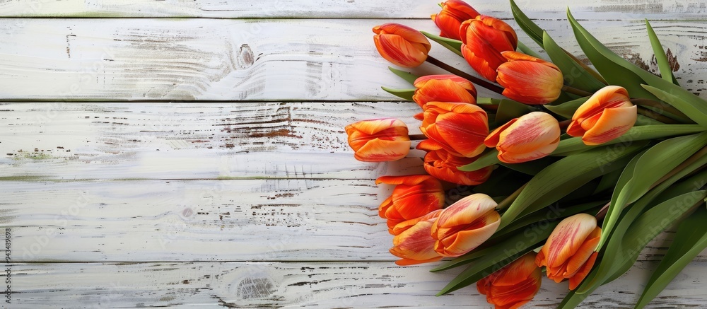 Aufkleber vibrant tulip bunch displayed on weathered white wooden backdrop ideal for easter themed visuals wit