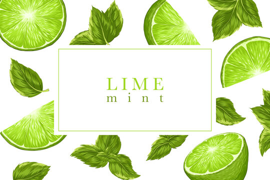 Citrus vector card. Lime and mint tag design. Text place. Fruity pattern cover background. Chopped lime, peppermint leaves. Label for food, drink, flavour packaging. Uncut elements. White backgrouind