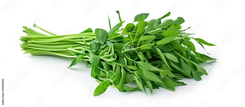 Poster a detailed image featuring a water spinach or ipomoea aquatica pile isolated on white with room for 