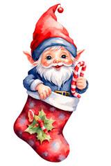 Adorable little gnome coming out of Christmas stocking. Cute character for Christmas card. Hand drawn watercolor illustration on transparent background