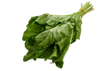 Fresh spinach on white background
