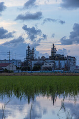 Obraz premium 初夏の田んぼに映る夕暮れの空