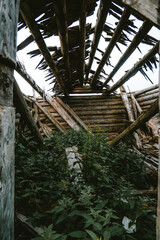 forgotten hut overgrown 