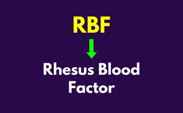 RBF Meaning, Rhesus Blood Factor