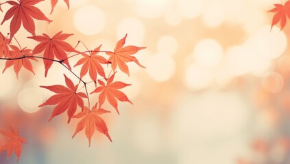 Vibrant Autumn Leaves: A Close-Up View of Nature's Beauty