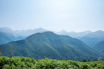 Lush Mountain Range with Dense Greenery