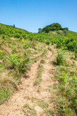 Fototapeta premium Expansive Mountain Landscape with Green Foreground