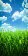Obraz premium Grass Sky Background Vertical