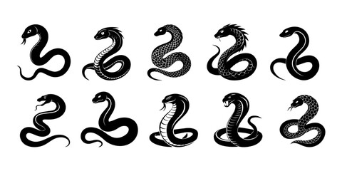 Big set, snake, symbol 2025 black silhouette. Isolated white background.