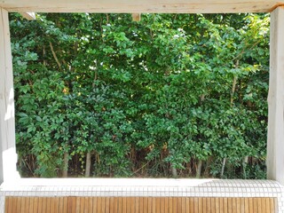 green leaves