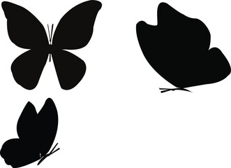 PrintButterfly Silhouettes , wing, black, victor, symbol