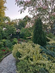 japanese garden in spring