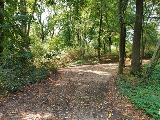 path in the park