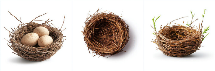 A collection of nests showcasing different stages of nature; featuring eggs, an empty nest, and a nest with greenery.
