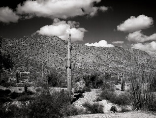 San Tan Mountains Sonora Desert Arizona