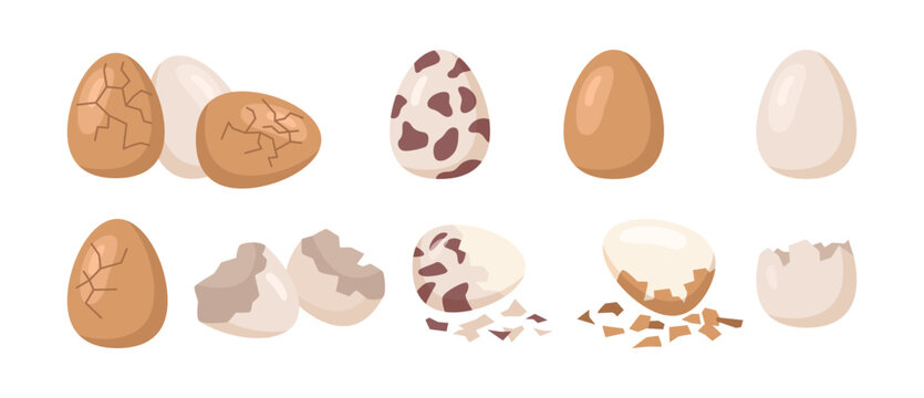Easter eggs with broken or damaged shells. Vector isolated flat set of ingredients for cooking. Hatching chicken, split or whole piece with cracks texture on surface. Breaking stages of peel