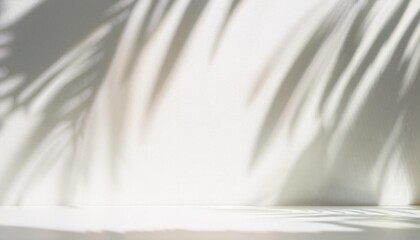 serene abstract backdrop with soft focus blurred palm tree shadows on white wall