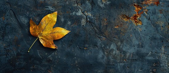 Copy space image featuring a solitary yellow leaf set against a dark autumnal background