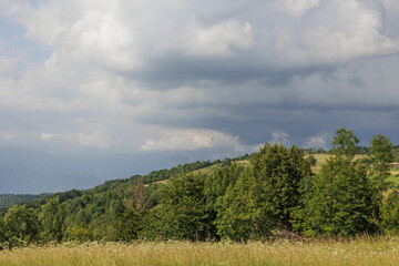 vista dettagliata di alcuni altipiani collinari, coperti da verdi boschi e prati, di giorno, sotto un cielo grigio e nuvoloso, in estate, guardando alle distanti montagne dietro la nebbia