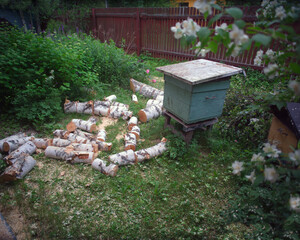 firewood next to the hives