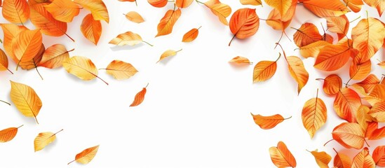 Autumn leaves form a frame against a white background leaving room for a copy space image