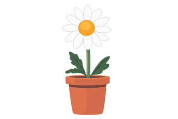 A beautiful daisy flower in a terracotta pot, showcasing vibrant petals and lush green leaves, perfect for home decor. Isolated on transparent background.