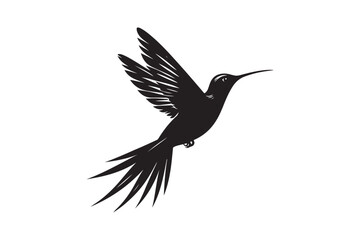 Fototapeta premium Hummingbird silhouette vector illustration