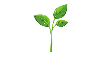Fototapeta premium A vibrant green sprout with fresh leaves symbolizing growth, nature, and sustainability. Ideal for eco-friendly themes. Isolated on transparent background.
