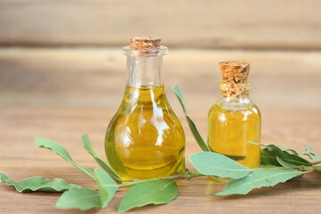 laurel (daphne) leaves and oil on wooden background