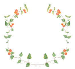 水彩画の蔓植物のフレーム 木の実の水彩イラスト