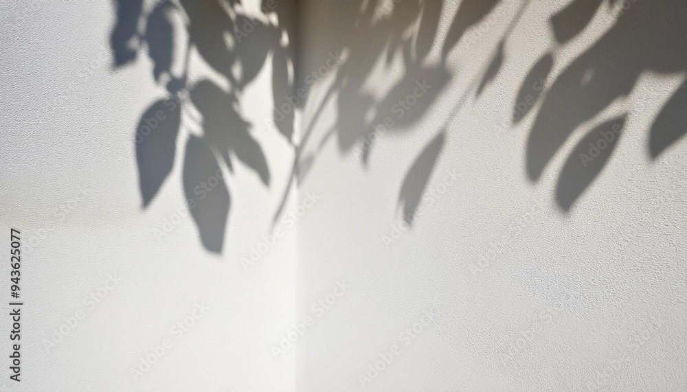 Canvas Prints shadow of the leaves on white wall background