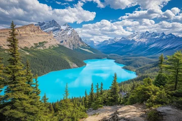 Papier peint photo  An unforgettable view of Peyto Lake by Icefields Parkway in Alberta, Canada  © Антон Сальников